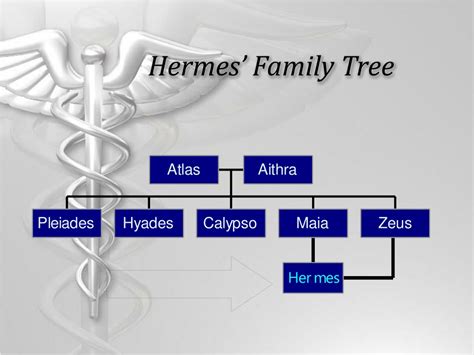 tree de hermes